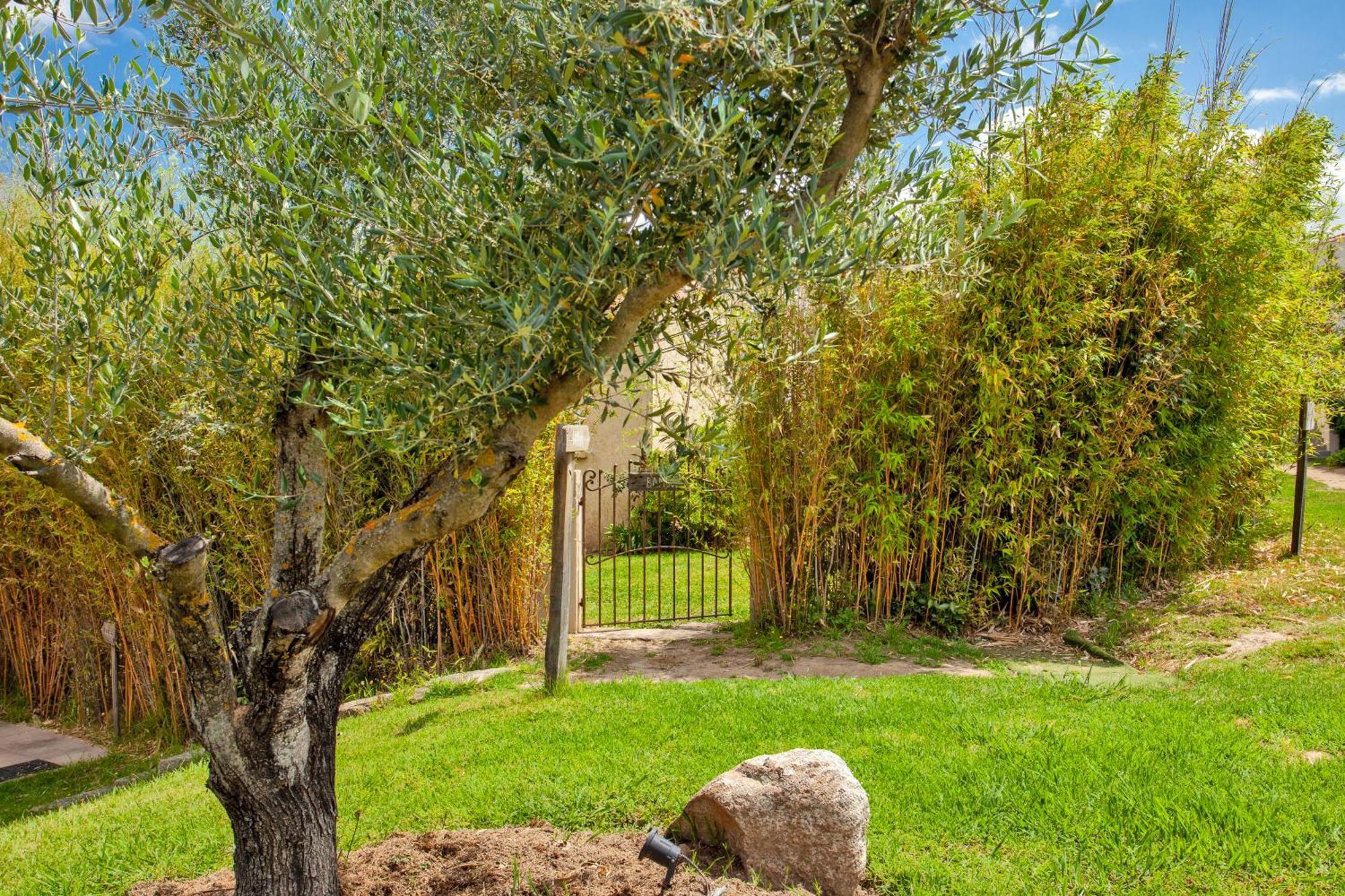 Residence Acquavital Calvi  Buitenkant foto